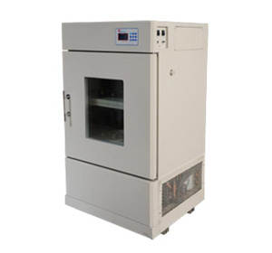 乐鱼在线官网程控立式双层摇床BSD-YX2200