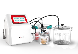 乐鱼在线官网厌氧培养系统BXYG-04